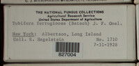 Image Associated With the Occurence